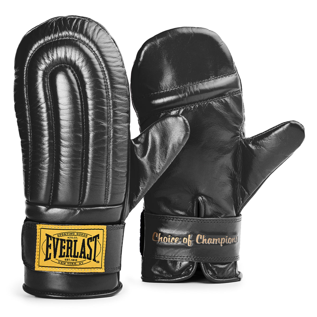 Everlast 1910 Pro Leather Bag Mitts