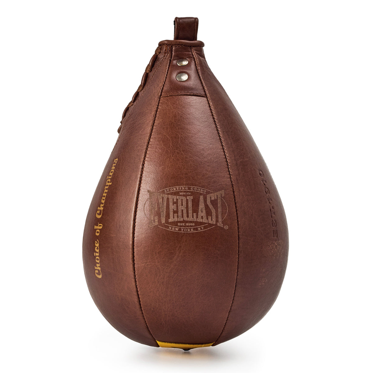 Everlast 1910 Pro Leather Speed Bag