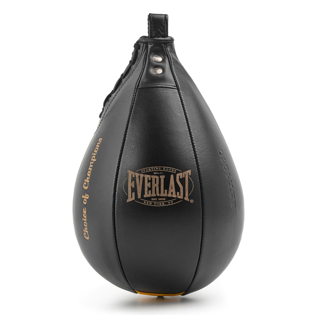 Everlast 1910 Pro Leather Speed Bag