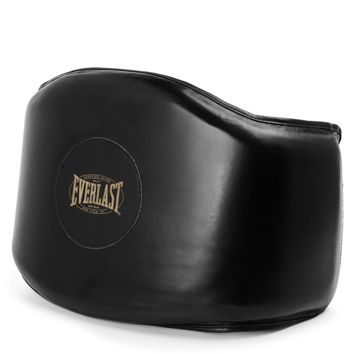Everlast 1910 Pro Leather Mini Body Protector