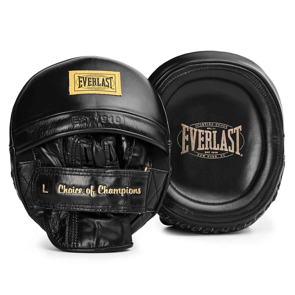 Everlast 1910 Pro Leather Speed Focus Mitts