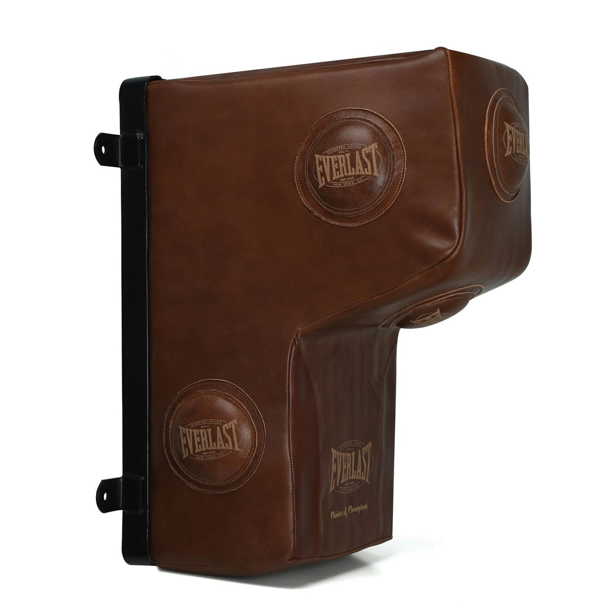 Everlast 1910 Pro Leather Wall Mount Bag
