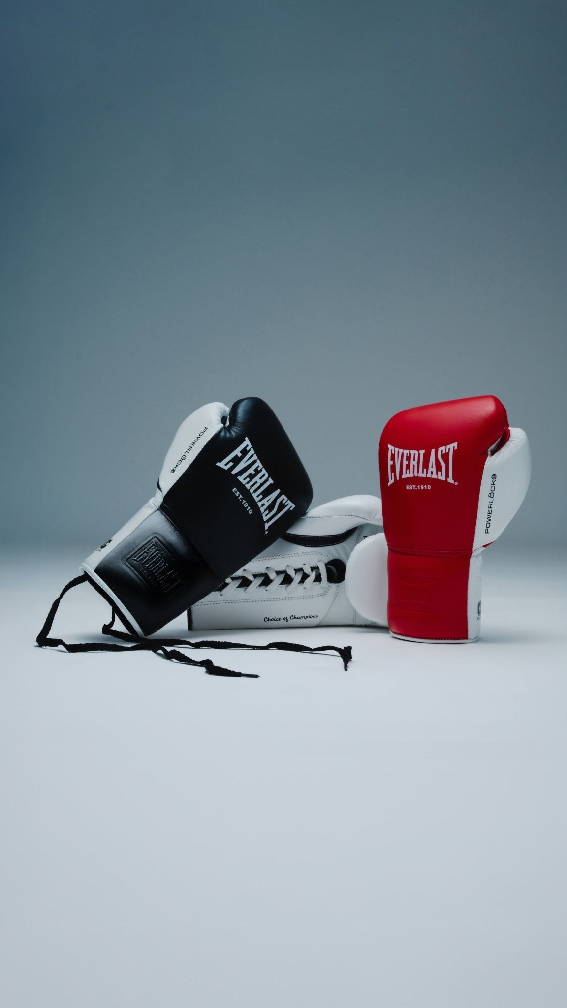 ELITE ROUND PUNCH SHIELD